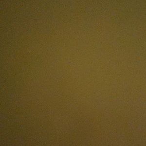 Meet your Posher, Baylor